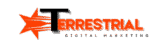 terrestrialdigital.in